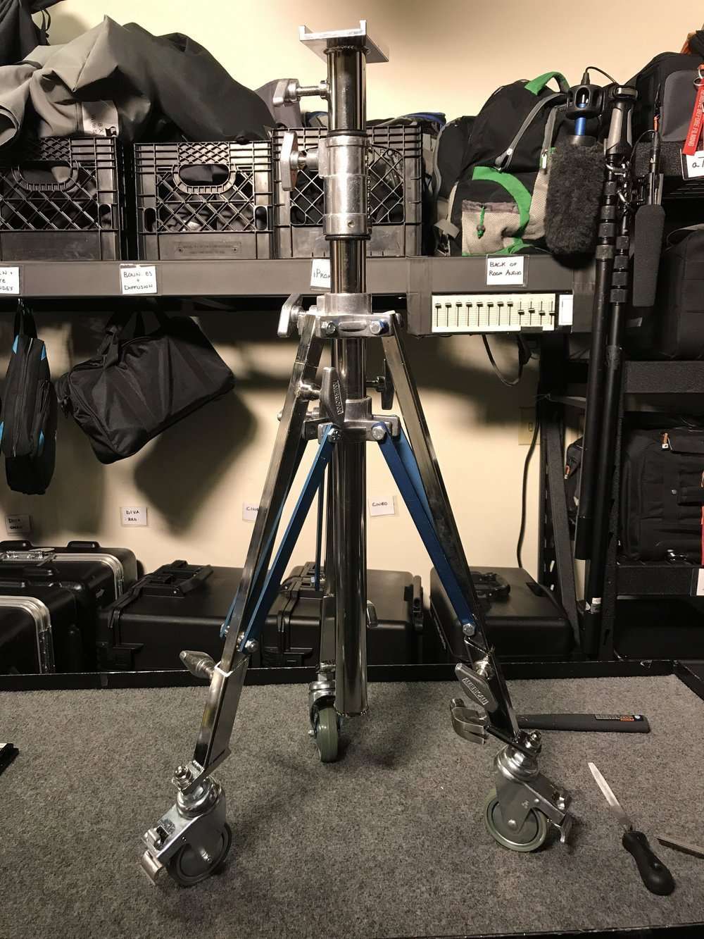 dana dolley stand
