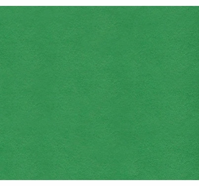 google image 599a6fdd13e8c83df661f4a9054bc13a.jpeg 12'X20' Chroma Green Fabric