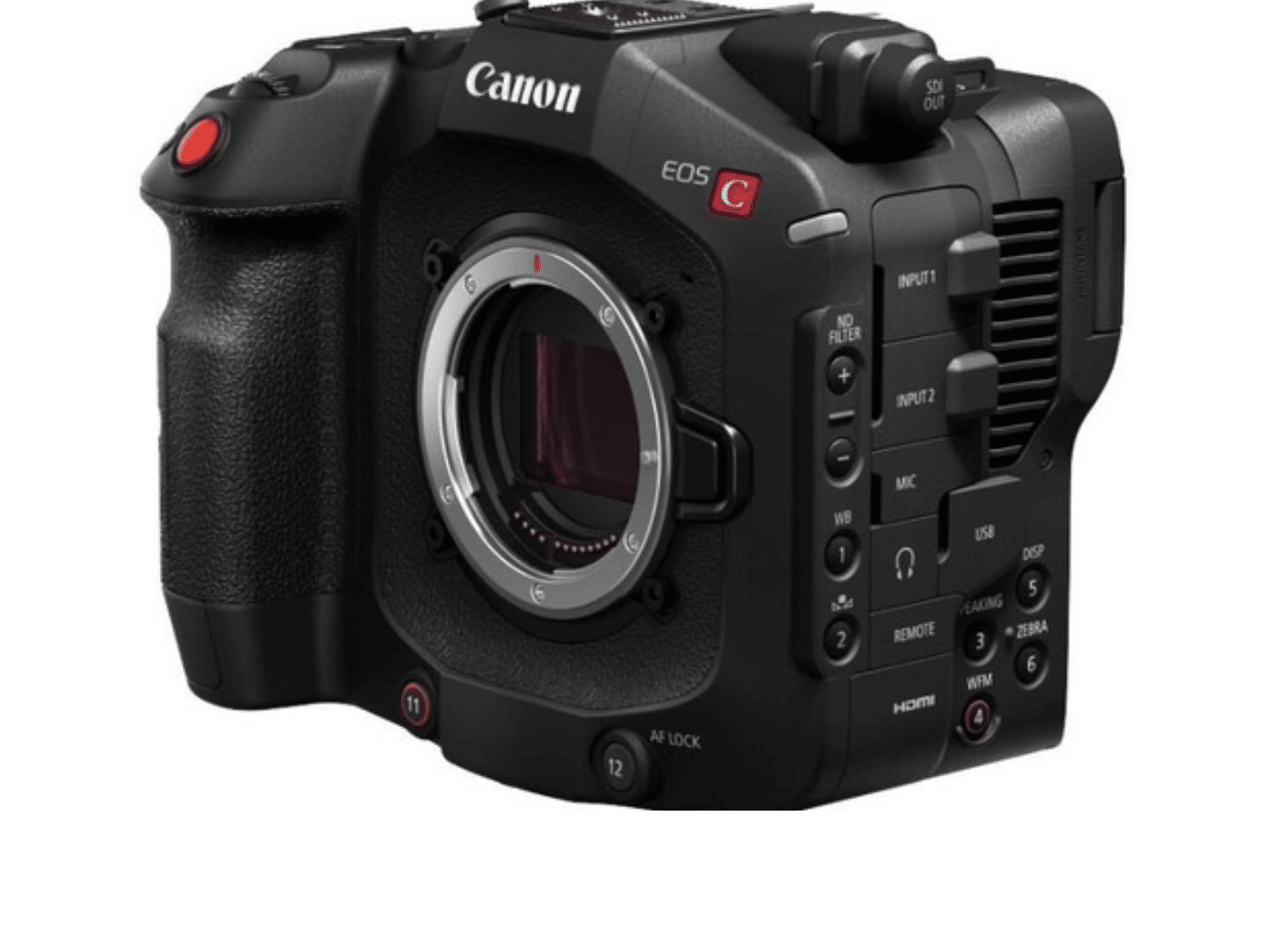 Canon C80 No Logo.png Canon C80 Camera