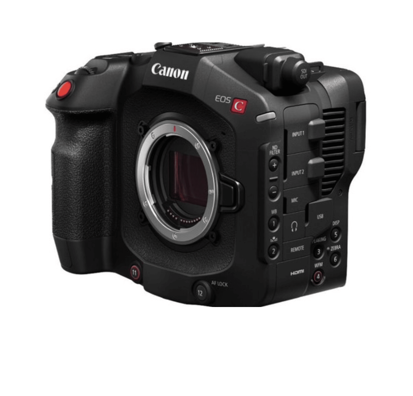 Canon C80 No Logo.png Canon C80 Camera