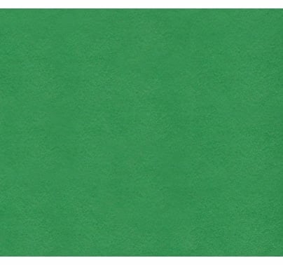 rentman 1199 12X20' Chroma Green Fabric