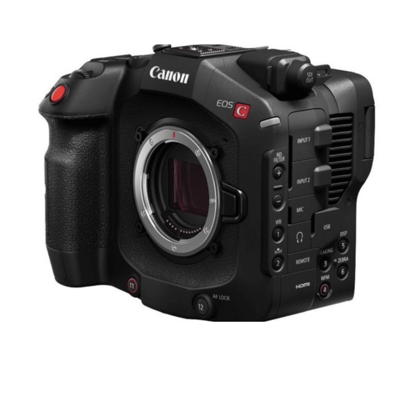 Canon C80 Camera